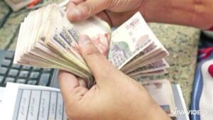 تفاصيل تحديث بيانات التموين أونلاين 2026 والشروط والمستندات المطلوبة
