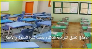 تعطيل مفاجئ للدراسة اليوم بسبب الطقس السيئ تعرف على المدارس والجامعات المتأثرة الآن