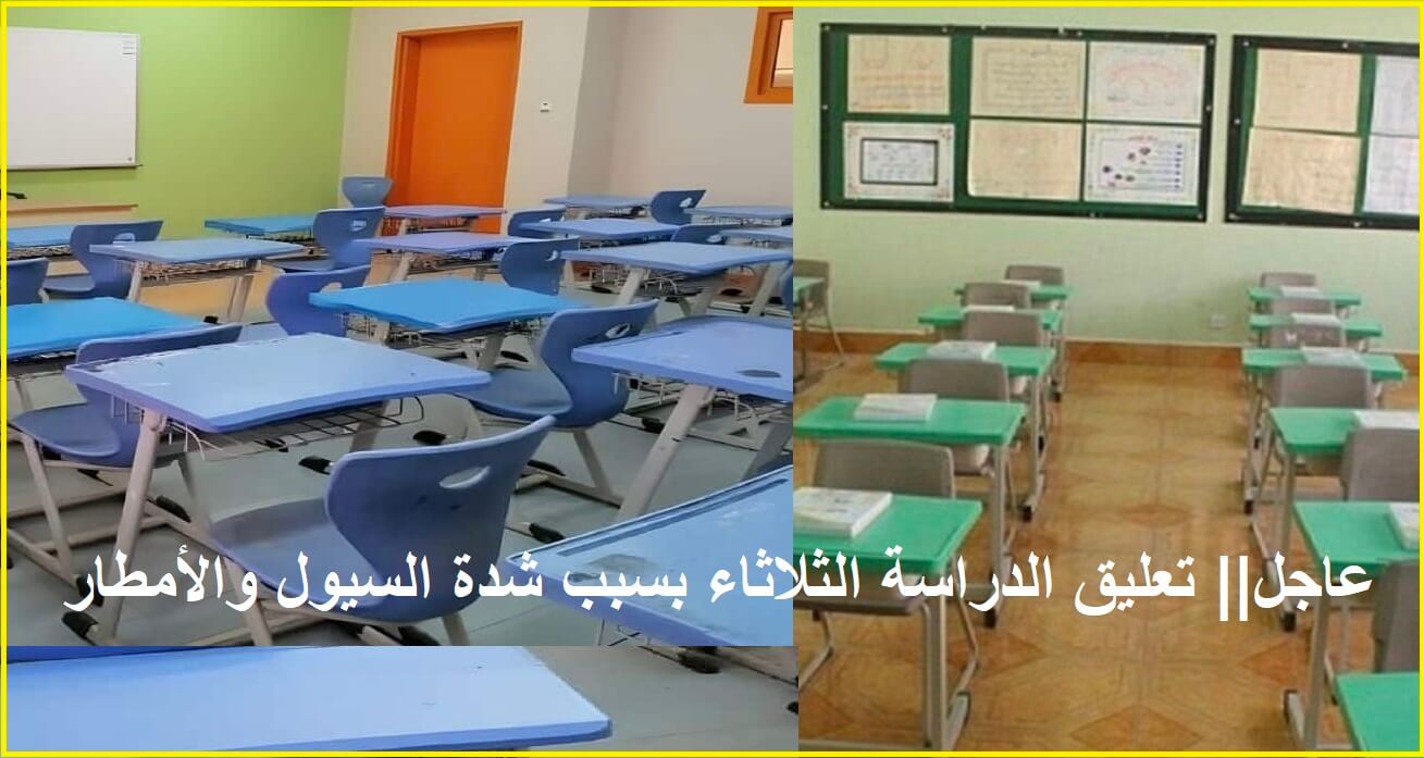 تعطيل مفاجئ للدراسة اليوم بسبب الطقس السيئ تعرف على المدارس والجامعات المتأثرة الآن
