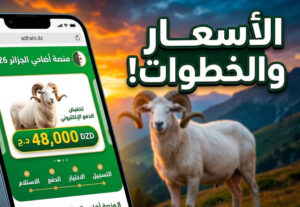 رابط التسجيل في منصة أضاحي العيد 2026 adhahi.dz وأسعار الأضاحي الرسمية بالتفصيل