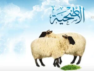 هل يمكن الجمع بين الهدي والأضحية؟.. الإفتاء توضح الحكم الشرعي وتكشف التفاصيل