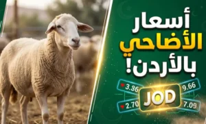 كم بلغ سعر الأضحية في الأردن 2026؟.. أرقام غير متوقعة تشعل الأسواق