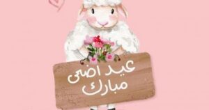 قبل شراء الأضحية 2026.. أهم شروط اختيار الماشية السليمة لضمان أضحية صحيحة