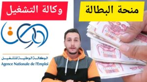 كيفية استرجاع منحة البطالة بعد التوقف عبر منصة إنصات insat.anem.dz بطريقة مضمونة وسريعة