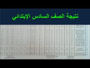 استعلم الآن عن نتيجة الصف السادس الابتدائي 2026 الترم الثاني برقم الجلوس فور ظهورها