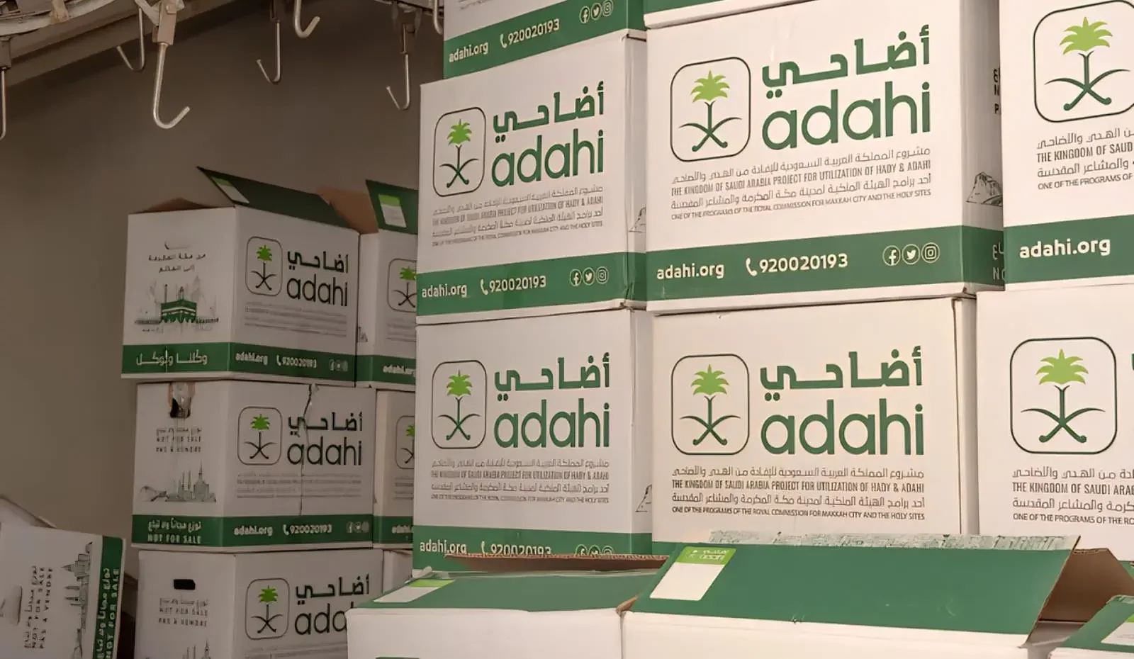 “أضاحي” يعلن سعر سندات الهدي لموسم حج 1447هـ 2026 وتفاصيل الشراء والخدمات الإلكترونية للحجاج