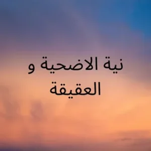 هل يجوز الجمع بين الأضحية والعقيقة؟.. الإفتاء تحسم الجدل وتكشف الحكم الشرعي بالتفصيل