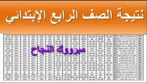 نتيجة الصف الرابع الابتدائي الترم الثاني 2026.. خطوات الاستعلام الرسمية ورابط الحصول على الدرجات فور إعلانها
