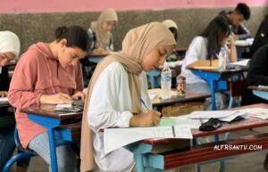 رابط الاستعلام عن أرقام جلوس الدبلومات الفنية 2026 لطلاب التعليم الفني في مصر عبر الإنترنت