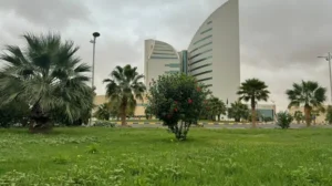 دليل القبول في جامعة نجران 1448.. شروط التسجيل وتخصصات البكالوريوس والدبلوم الجديدة