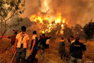 حرائق الجزائر اليوم.. أسباب اندلاع النيران والولاية الأكثر تضررًا بالتفاصيل