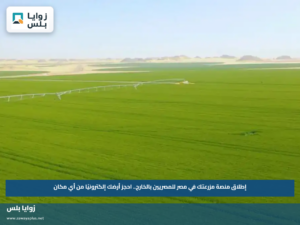 إطلاق منصة مزرعتك في مصر للمصريين بالخارج.. احجز أرضك إلكترونيًا من أي مكان