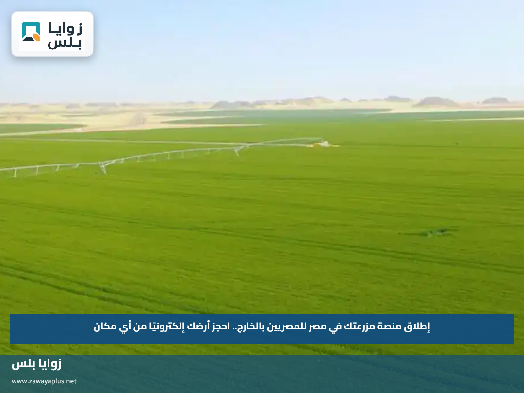 إطلاق منصة مزرعتك في مصر للمصريين بالخارج.. احجز أرضك إلكترونيًا من أي مكان