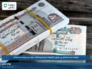 طريقة حساب المعاش في قانون التأمينات الاجتماعية 2026.. تعرف على قيمة مستحقاتك
