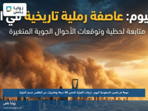 موجة حر تضرب السعودية اليوم.. درجات الحرارة تلامس 48 درجة وتحذيرات من الطقس شديد الحرارة