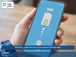 كيفية معرفة أرقام المحمول المسجلة باسمك بالرقم القومي عبر My NTRA