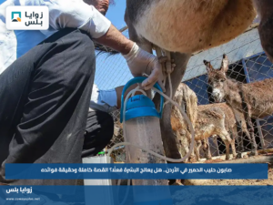 صابون حليب الحمير في الأردن.. هل يعالج البشرة فعلًا؟ القصة كاملة وحقيقة فوائده