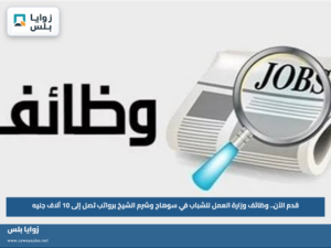 قدم الآن.. وظائف وزارة العمل للشباب في سوهاج وشرم الشيخ برواتب تصل إلى 10 آلاف جنيه