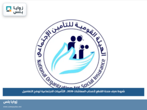 شروط صرف منحة القطع لأصحاب المعاشات 2026.. التأمينات الاجتماعية توضح التفاصيل