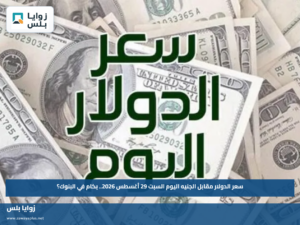 سعر الدولار مقابل الجنيه اليوم السبت 29 أغسطس 2026.. بكام في البنوك؟