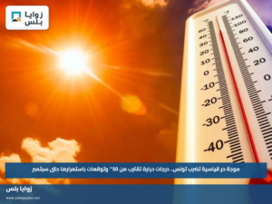 موجة حر قياسية تضرب تونس.. درجات حرارة تقترب من 50° وتوقعات باستمرارها حتى سبتمبر