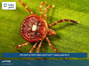 ما هو فيروس بوربون؟.. أعراض العدوى وطرق الحماية من المرض النادر