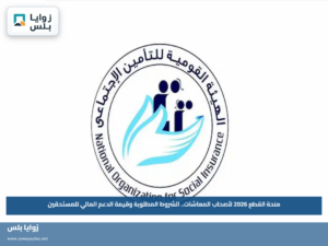 منحة القطع 2026 لأصحاب المعاشات.. الشروط المطلوبة وقيمة الدعم المالي للمستحقين