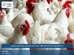 سعر الفراخ اليوم السبت 8 أغسطس 2026.. تحديث أسعار الدواجن في بورصة الدواجن والأسواق
