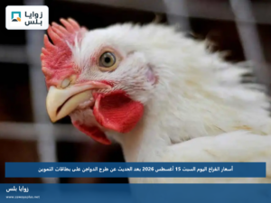 أسعار الفراخ اليوم السبت 15 أغسطس 2026 بعد الحديث عن طرح الدواجن على بطاقات التموين