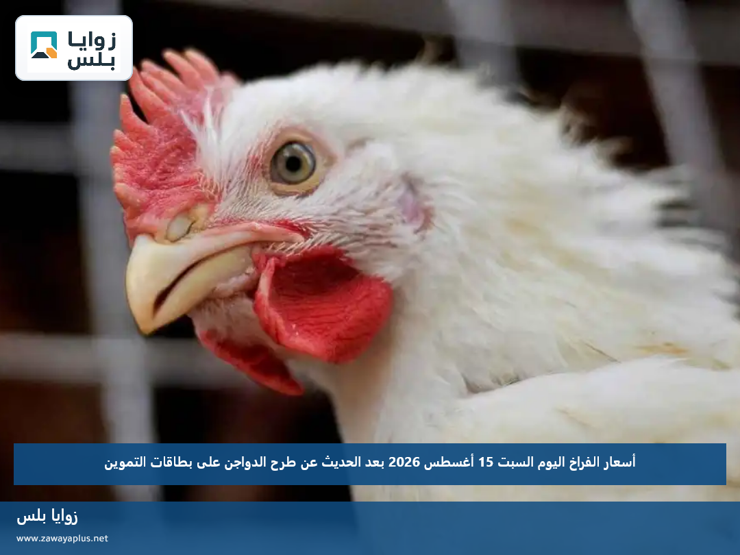 أسعار الفراخ اليوم السبت 15 أغسطس 2026 بعد الحديث عن طرح الدواجن على بطاقات التموين