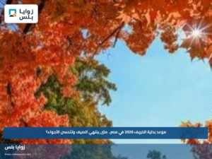 موعد بداية الخريف 2026 في مصر.. متى ينتهي الصيف وتتحسن الأجواء؟
