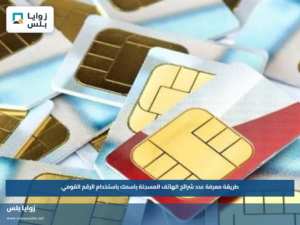 طريقة معرفة عدد شرائح الهاتف المسجلة باسمك باستخدام الرقم القومي