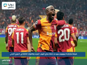 طريقة مشاهدة إيرزوروم سبور ضد غلطة سراي اليوم.. الموعد والقنوات الناقلة في الدوري التركي
