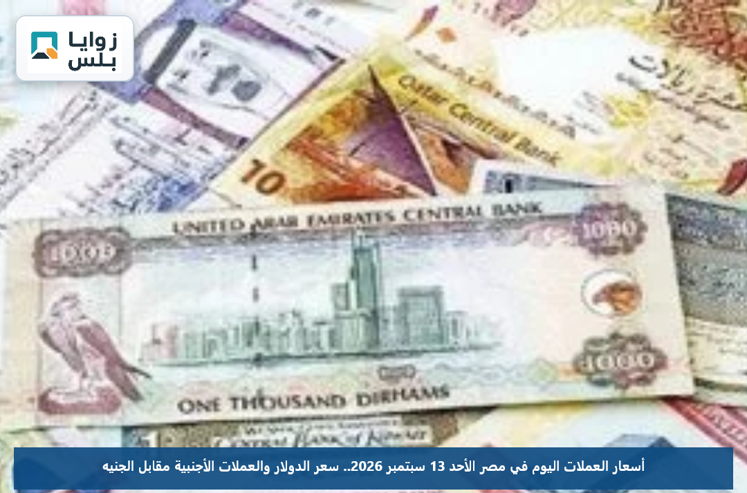 أسعار العملات اليوم في مصر الأحد 13 سبتمبر 2026.. سعر الدولار والعملات الأجنبية مقابل الجنيه