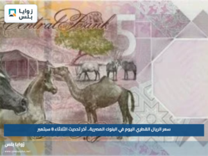 سعر الريال القطري اليوم في البنوك المصرية.. آخر تحديث الثلاثاء 8 سبتمبر
