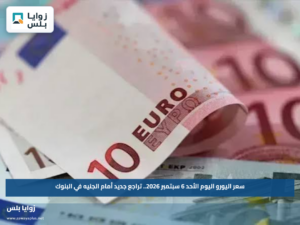 سعر اليورو اليوم الأحد 6 سبتمبر 2026.. تراجع جديد أمام الجنيه في البنوك