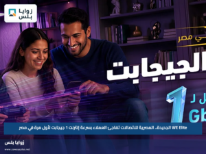WE Elite الجديدة.. المصرية للاتصالات تفاجئ العملاء بسرعة إنترنت 1 جيجابت لأول مرة في مصر